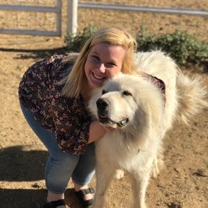 Meet your Posher, Bailey